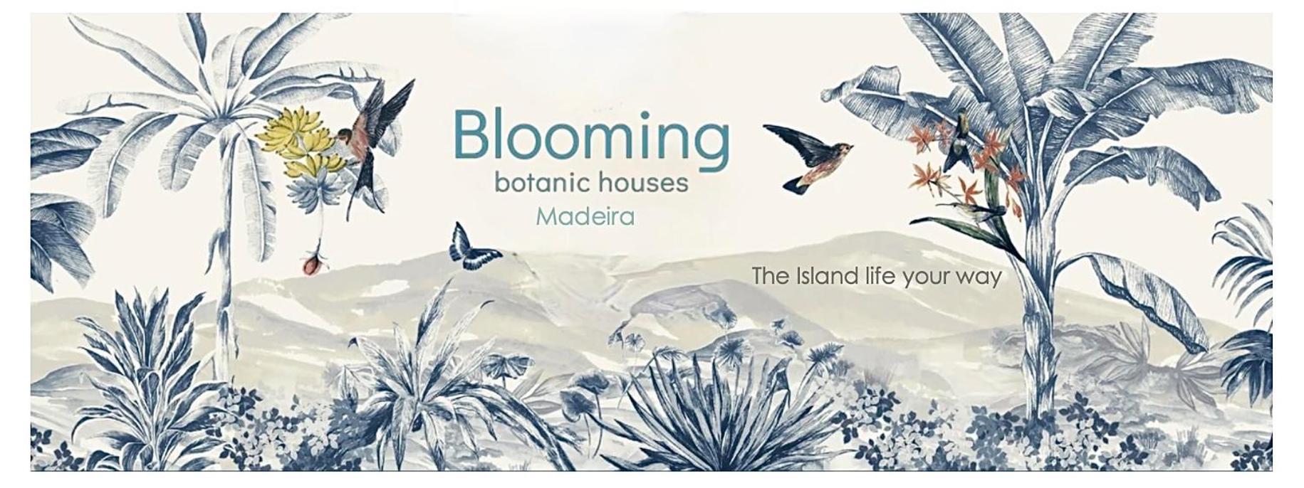 Blooming Botanic Houses Estreito Da Calheta المظهر الخارجي الصورة