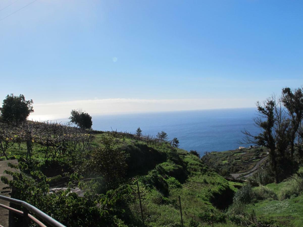 Blooming Botanic Houses Estreito Da Calheta المظهر الخارجي الصورة