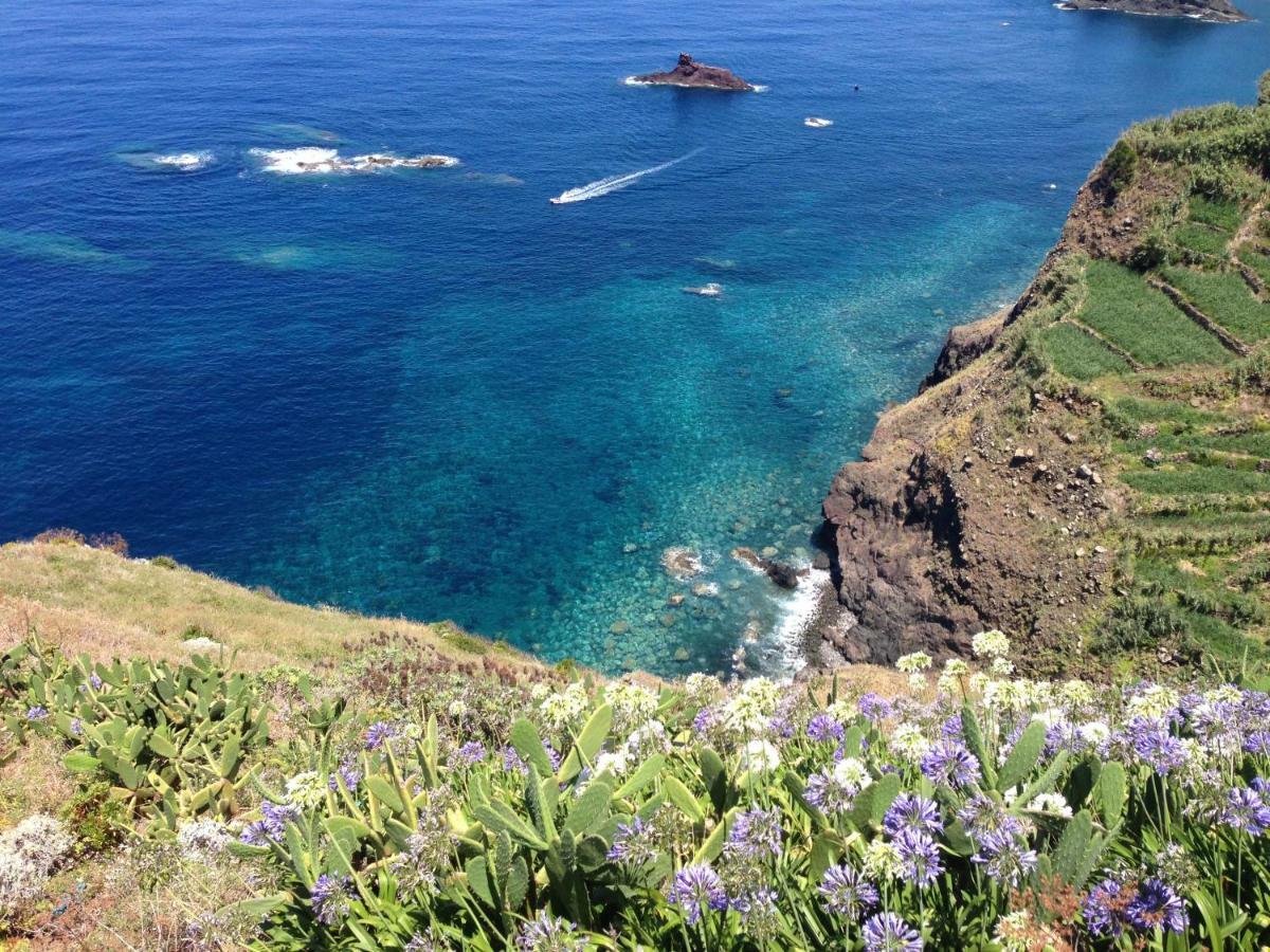Blooming Botanic Houses Estreito Da Calheta المظهر الخارجي الصورة