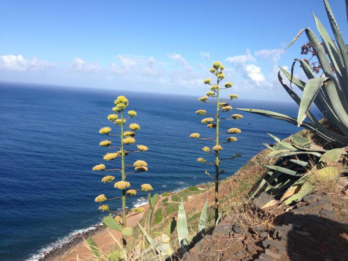 Blooming Botanic Houses Estreito Da Calheta المظهر الخارجي الصورة