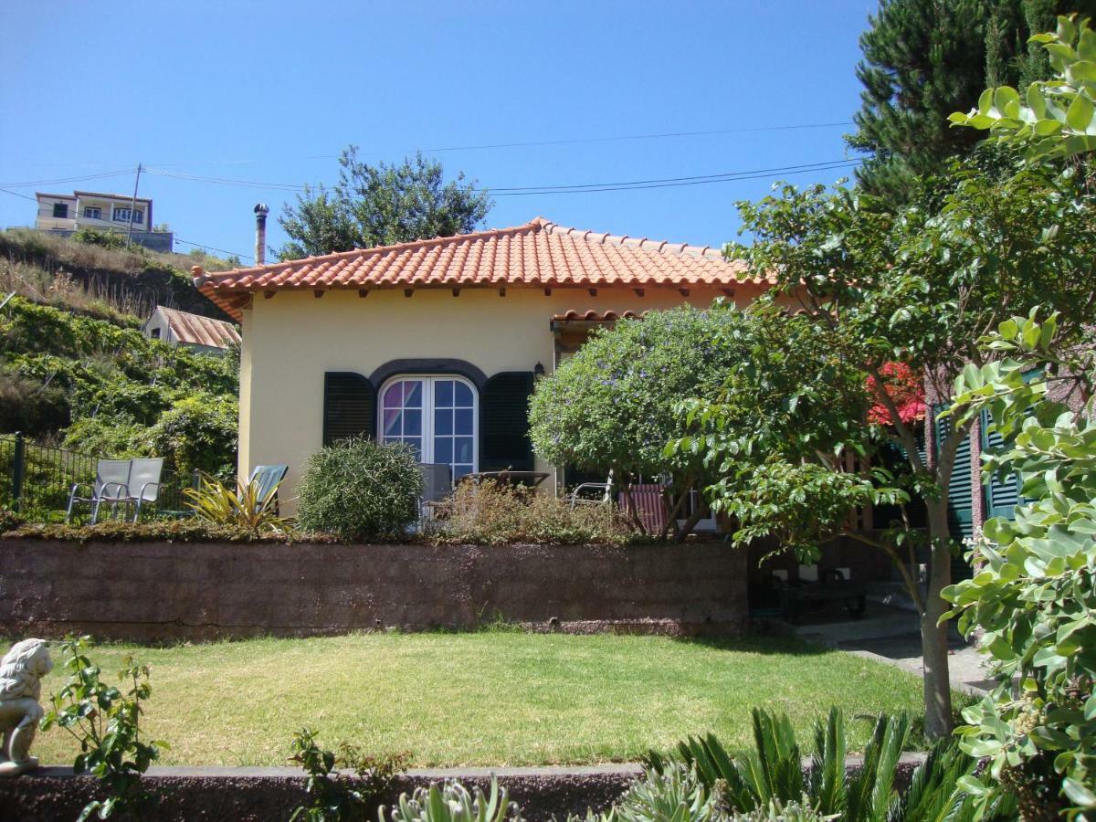Blooming Botanic Houses Estreito Da Calheta المظهر الخارجي الصورة