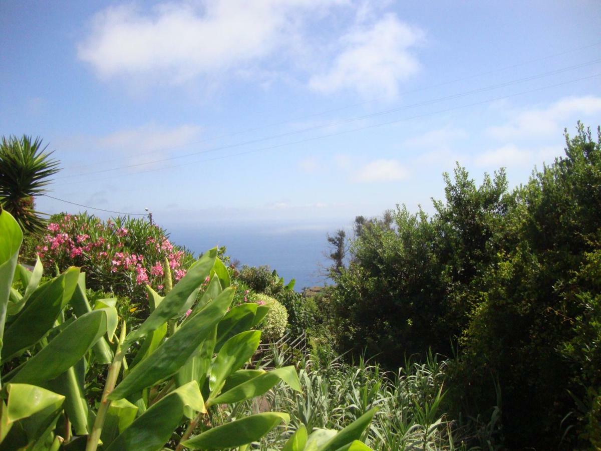 Blooming Botanic Houses Estreito Da Calheta المظهر الخارجي الصورة