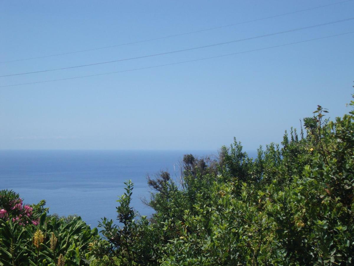 Blooming Botanic Houses Estreito Da Calheta المظهر الخارجي الصورة