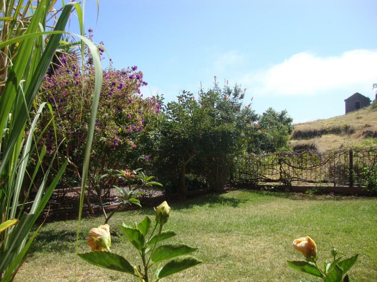 Blooming Botanic Houses Estreito Da Calheta المظهر الخارجي الصورة